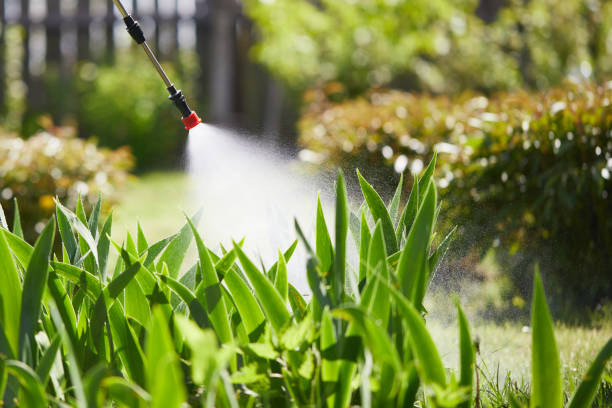 24/7 Emergency Mosquito Control experts in Chelan, WA